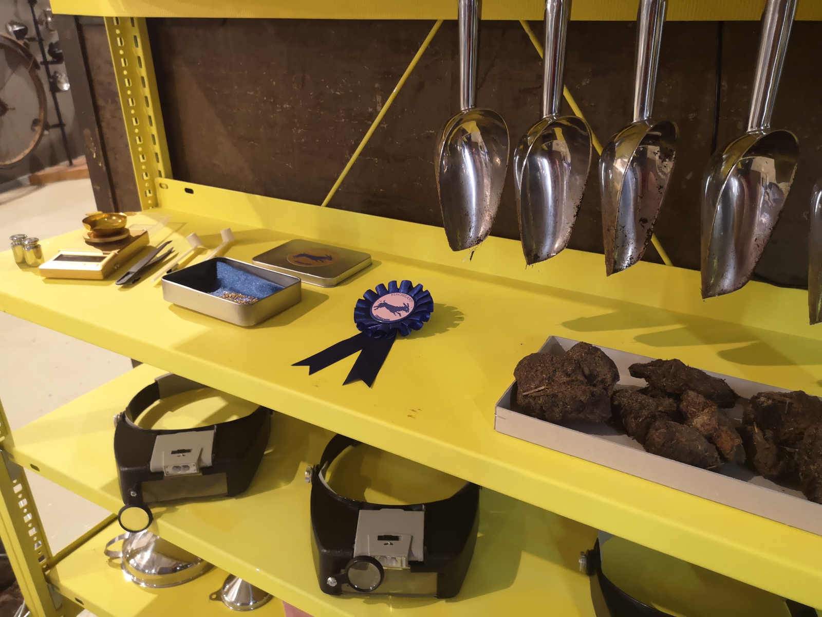 Zubehör zur Kunstinstallation "Fischelant", Foto: Kathy Eichholz