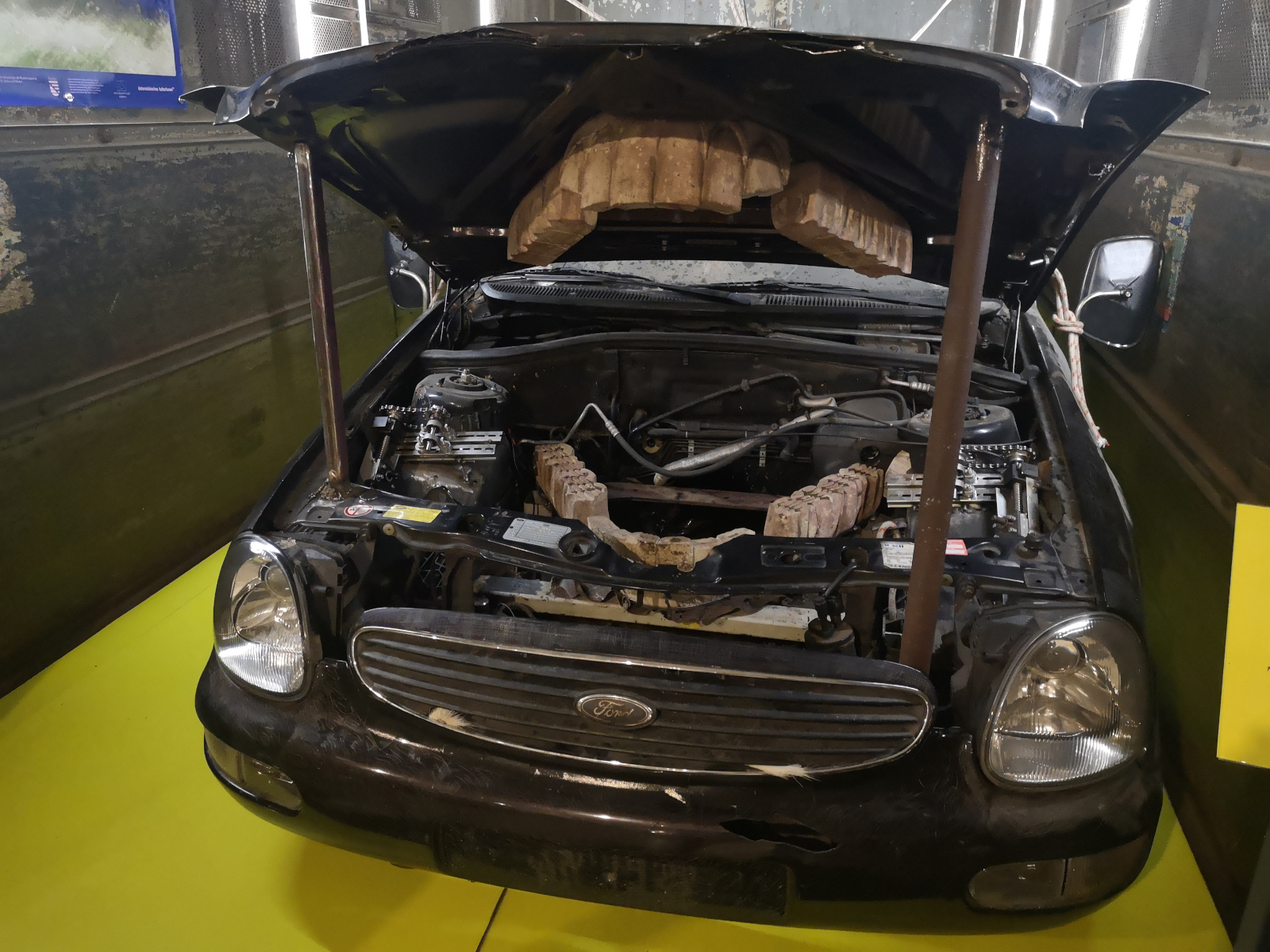 Das "Fischelant", Foto: Kathy Eichholz