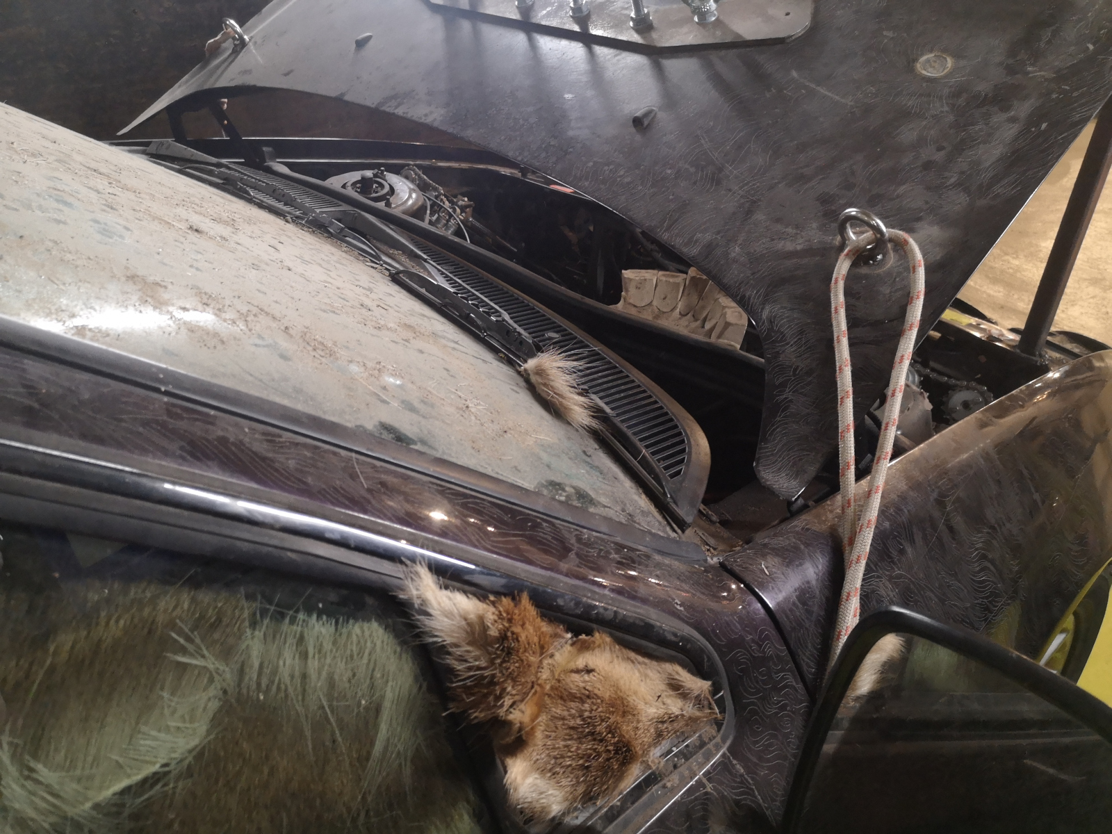 Detail des "Fischelant", Foto: Kathy Eichholz